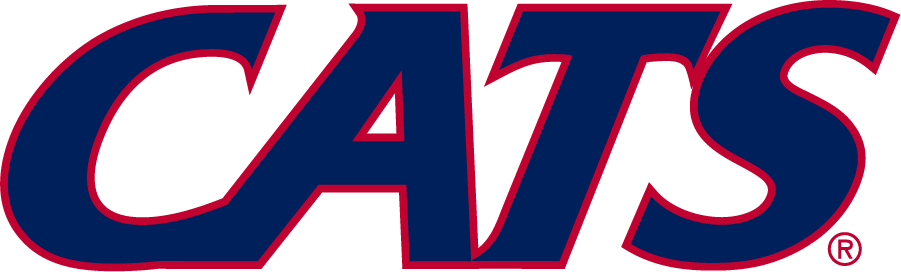 Arizona Wildcats 2013-Pres Wordmark Logo v2 diy iron on heat transfer